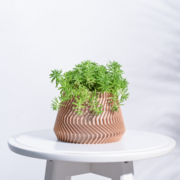 Ridged Waves Wooden Pot